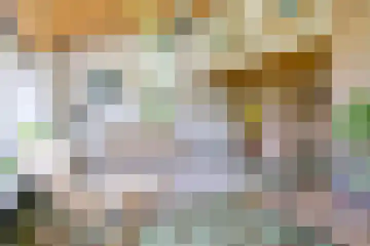 Sinckelsant 31 Callantsoog thumbnail 8