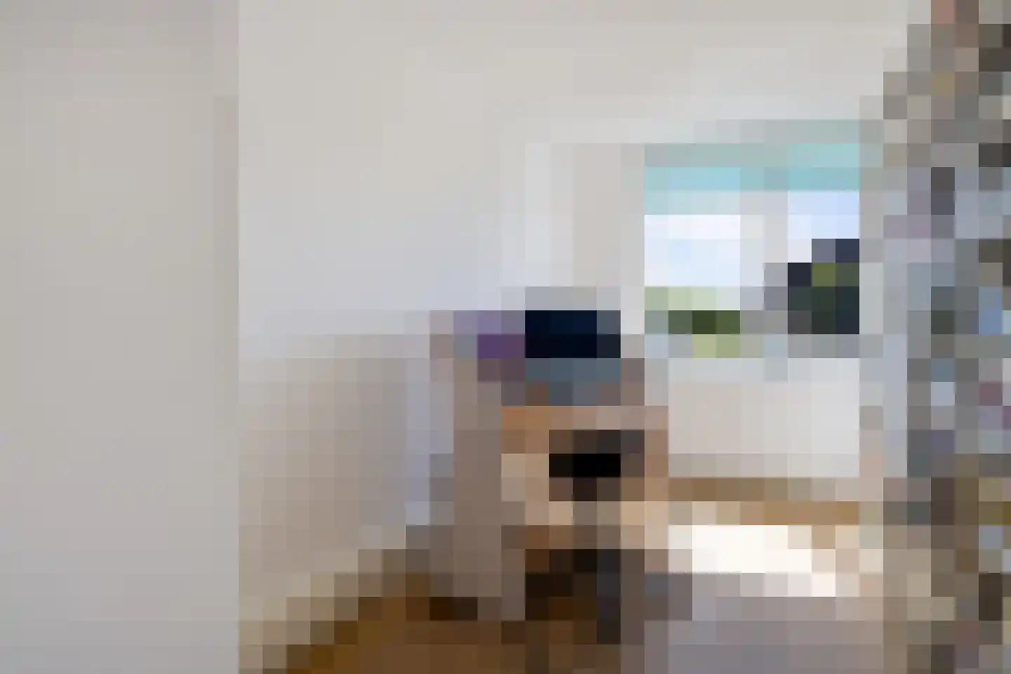 Sinckelsant 38 Callantsoog thumbnail 13