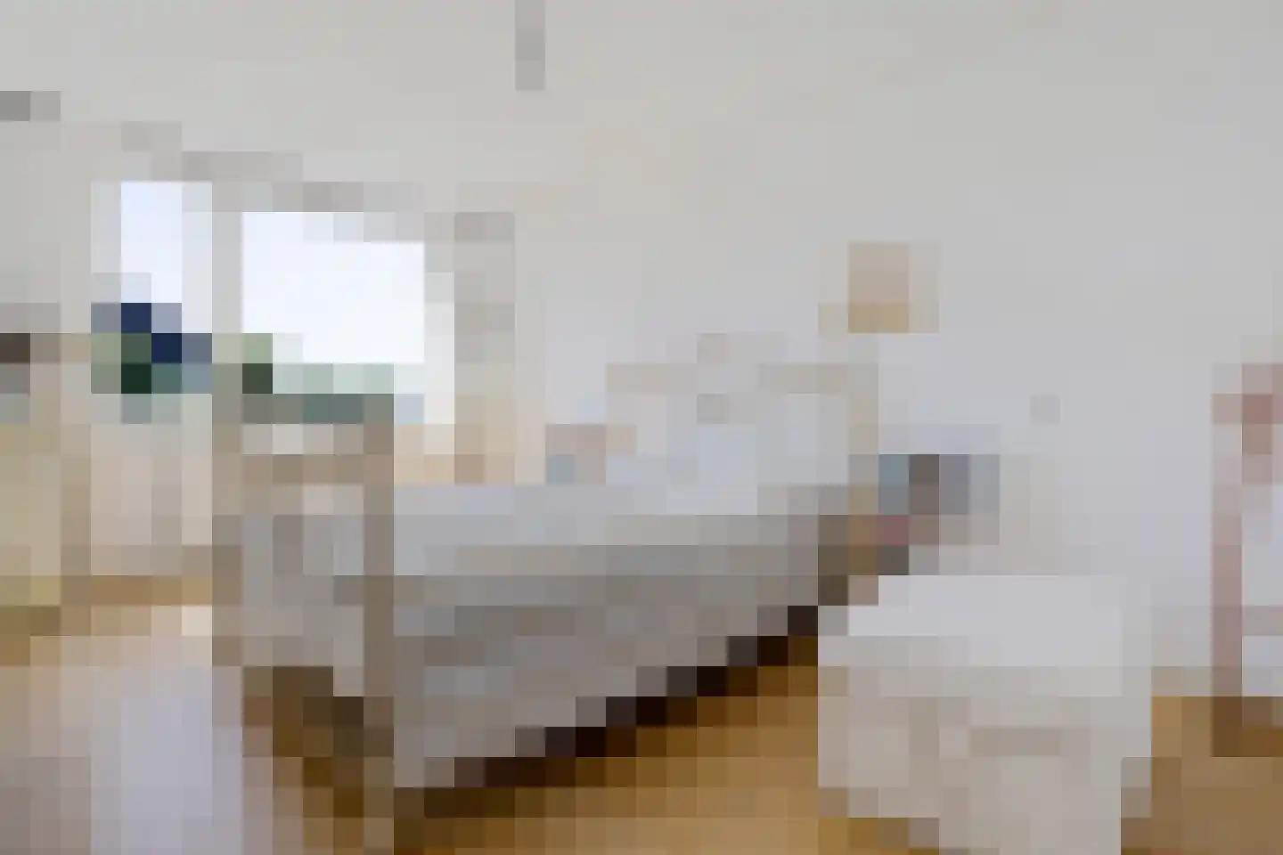 Sinckelsant 38 Callantsoog thumbnail 14