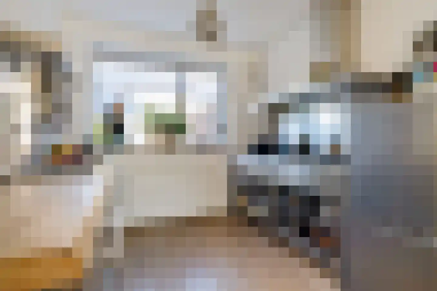 Sinckelsant 38 Callantsoog thumbnail 31