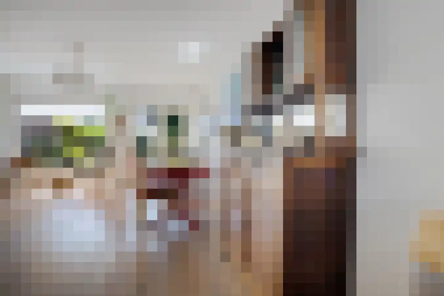 Sinckelsant 38 Callantsoog thumbnail 32