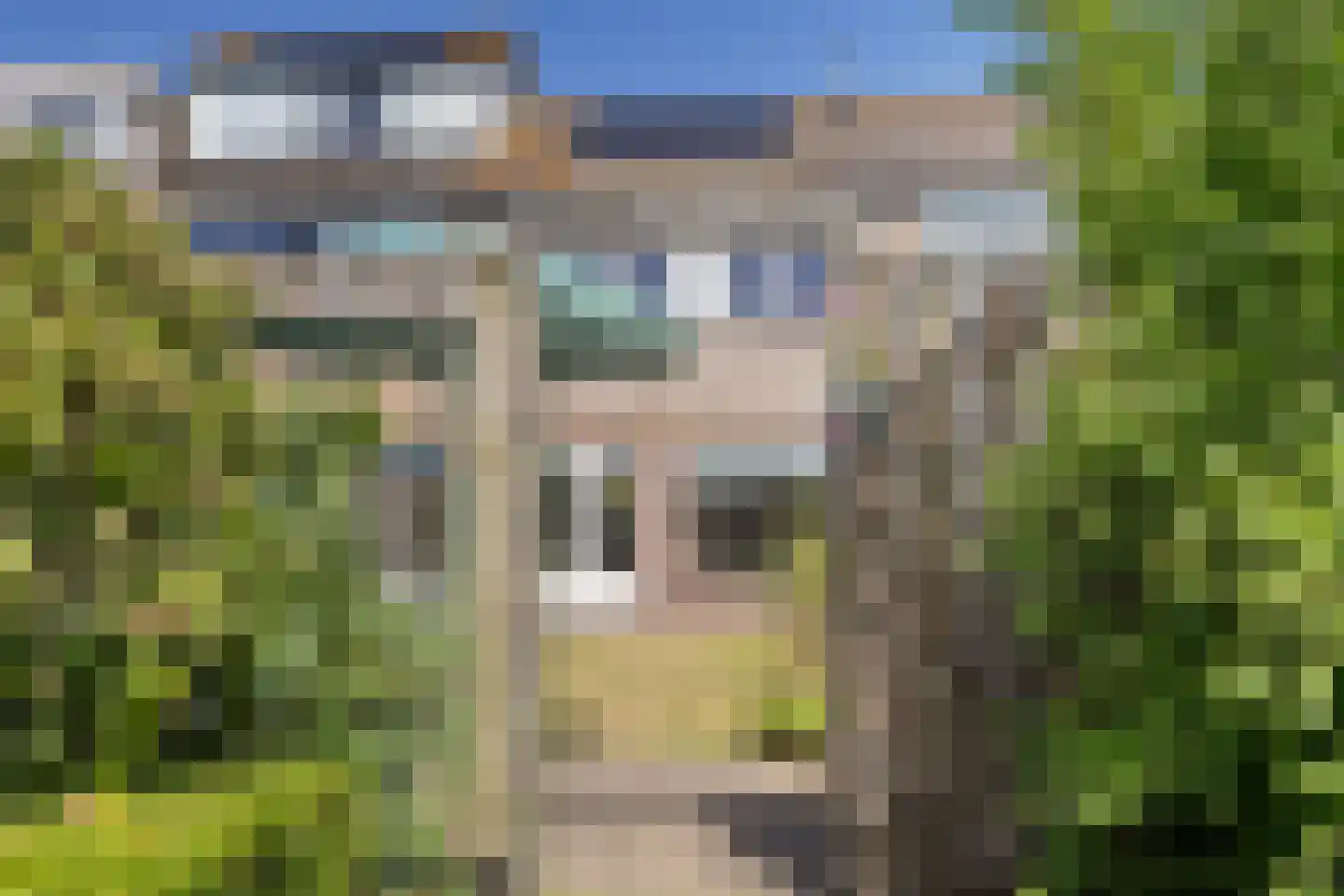 Sinckelsant 38 Callantsoog thumbnail 36