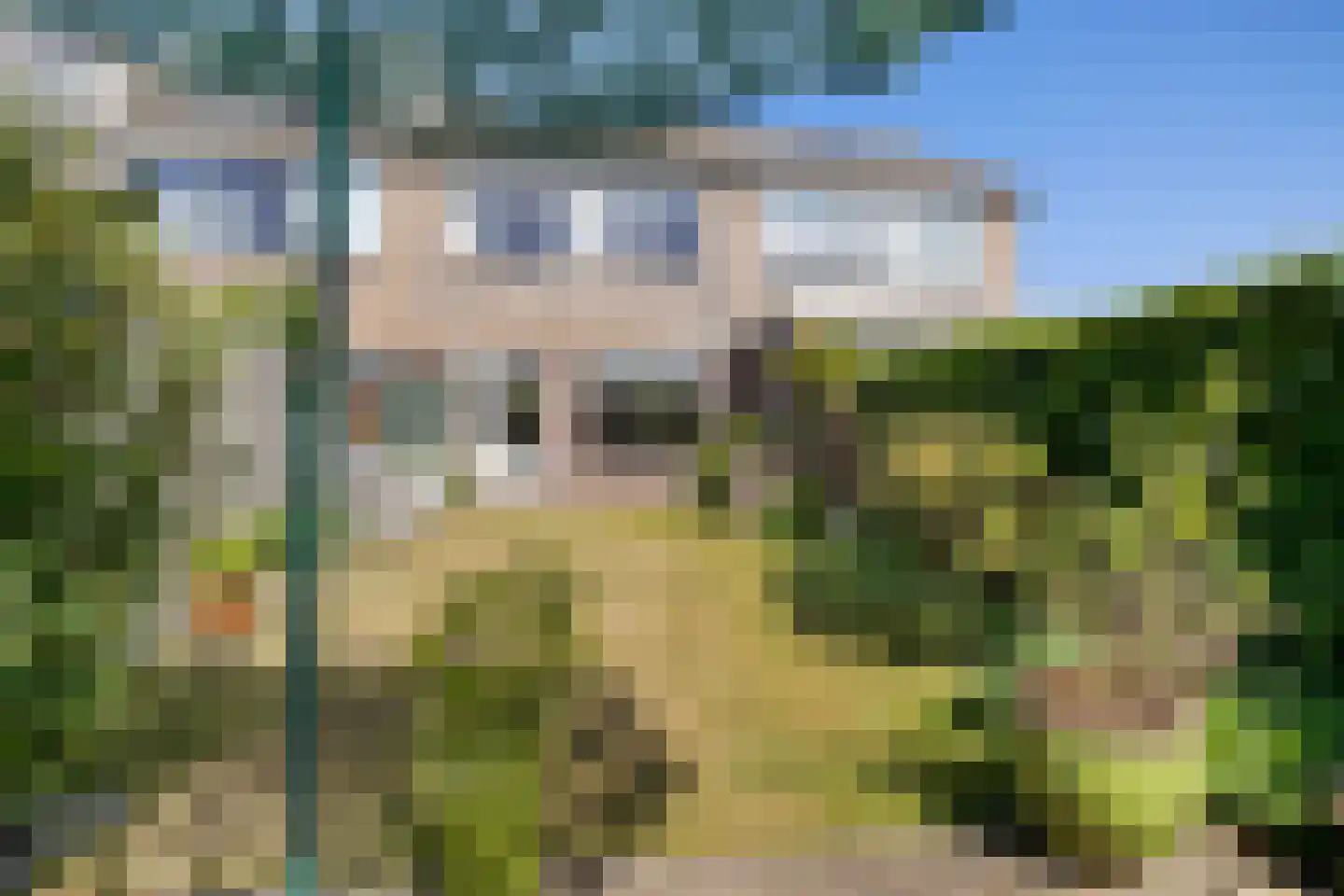 Sinckelsant 38 Callantsoog thumbnail 7