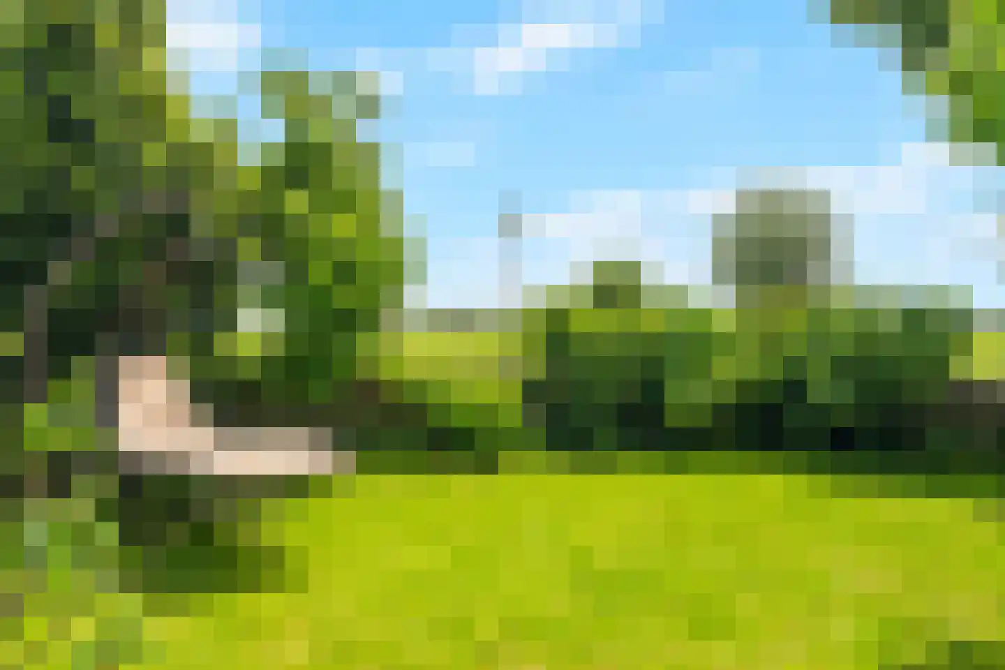 Sinckelsant 66 Callantsoog thumbnail 41