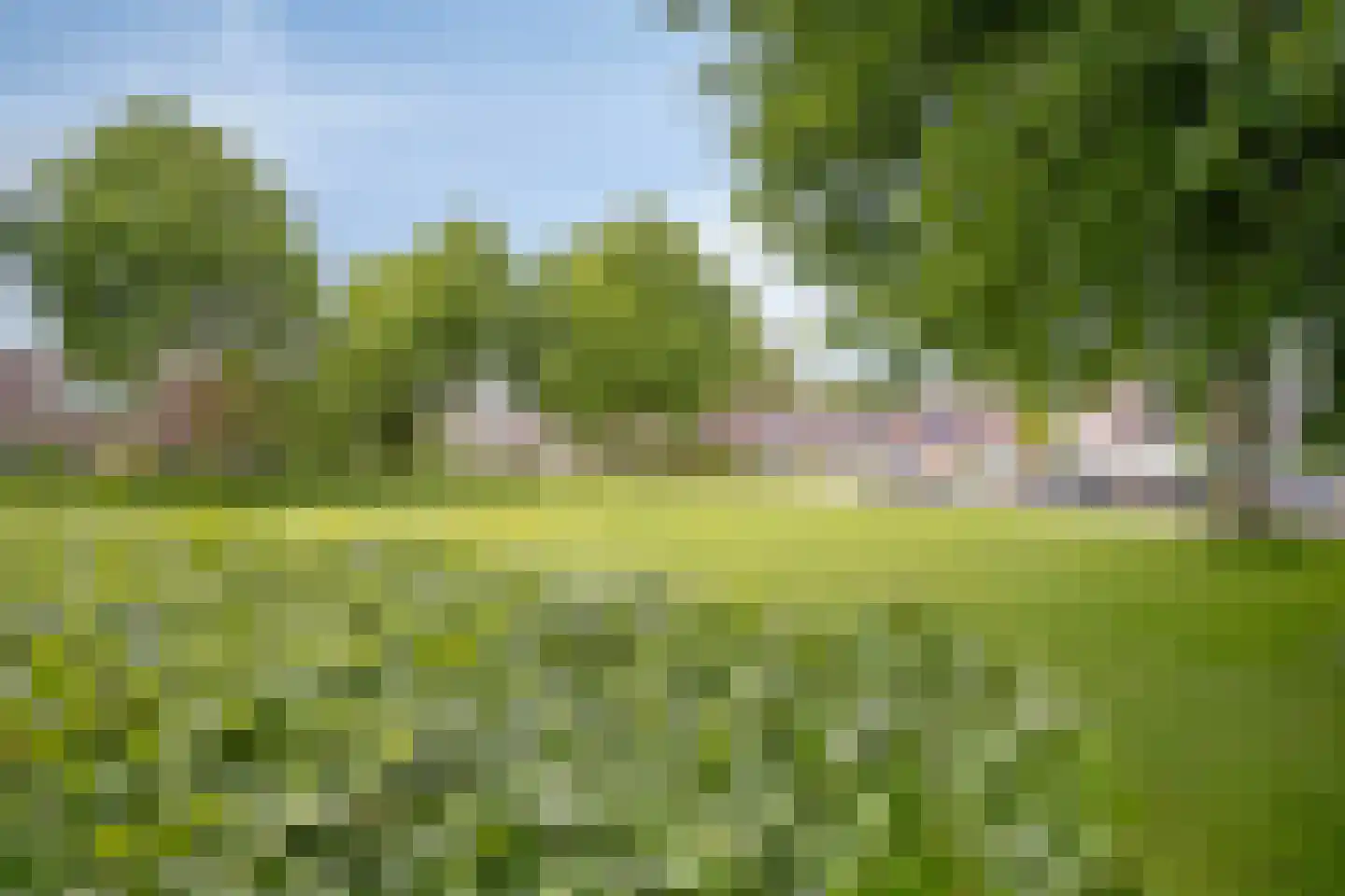 Sinderhôven 122 Hurdegaryp thumbnail 29