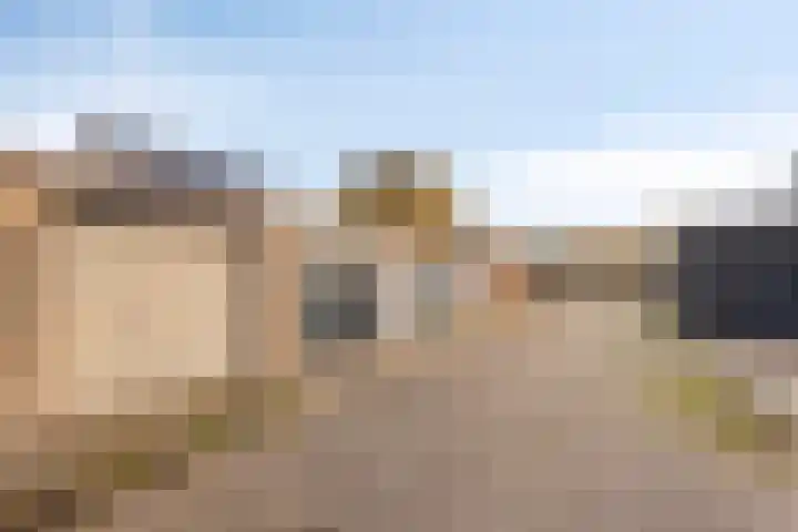 Sinderhôven 38 Hurdegaryp thumbnail 12
