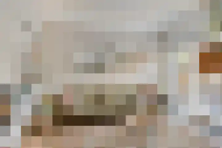 Sinderhôven 38 Hurdegaryp thumbnail 18