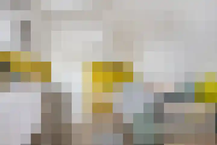 Sinderhôven 38 Hurdegaryp thumbnail 24