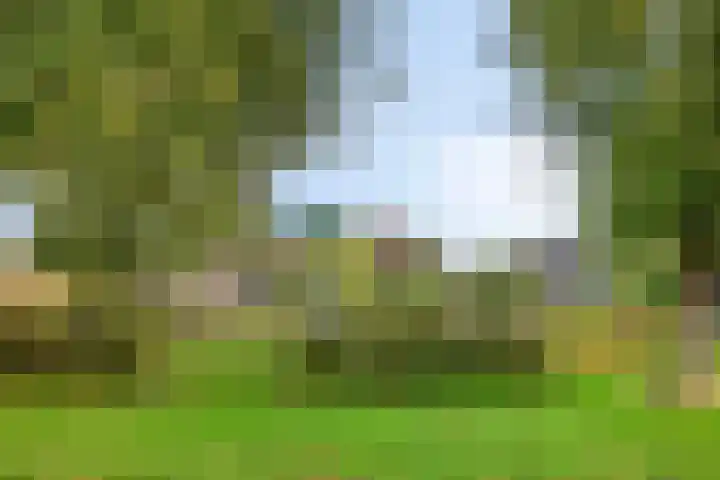 Sinderhôven 38 Hurdegaryp thumbnail 30