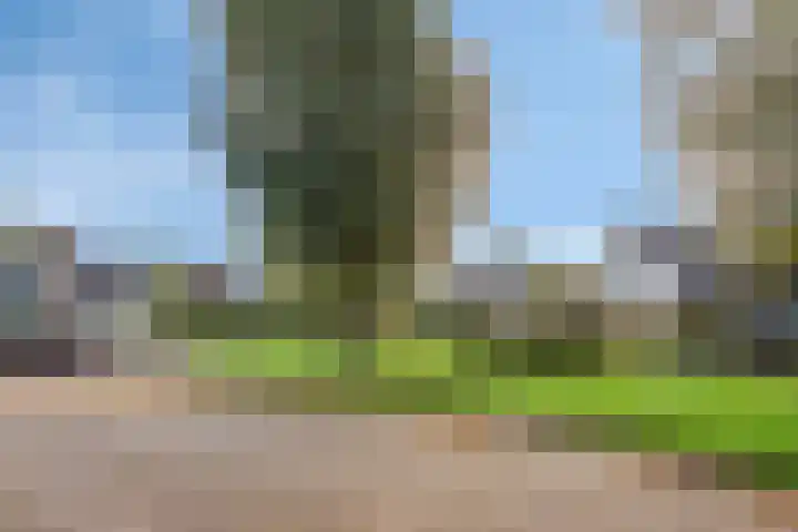 Sinderhôven 38 Hurdegaryp thumbnail 6