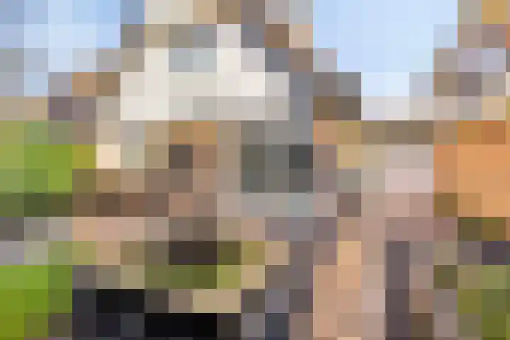 Sinderhôven 38 Hurdegaryp thumbnail 8