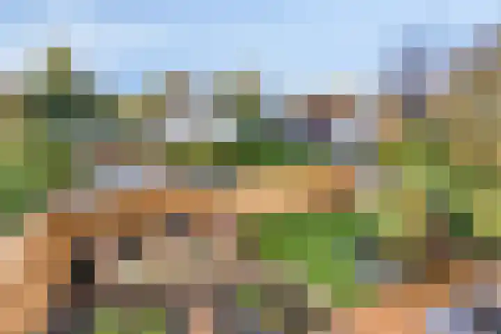 Sinderhôven 38 Hurdegaryp thumbnail 9