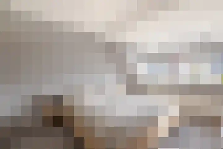 Singel 1 A Noordeloos thumbnail 24