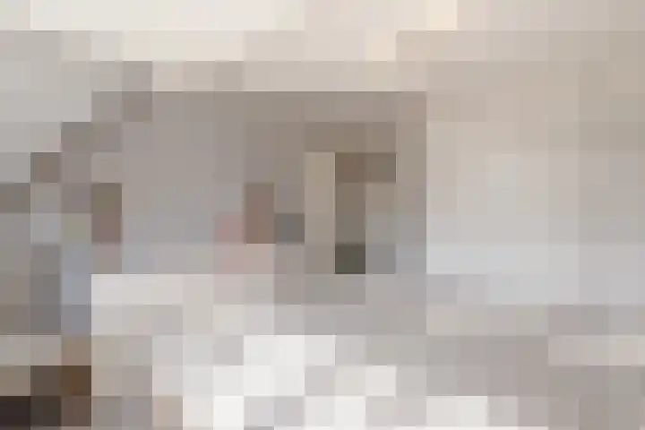 Singel 1 A Noordeloos thumbnail 25