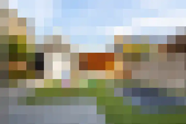 Singel 1 A Noordeloos thumbnail 34