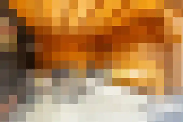 Singel 1 A Noordeloos thumbnail 35