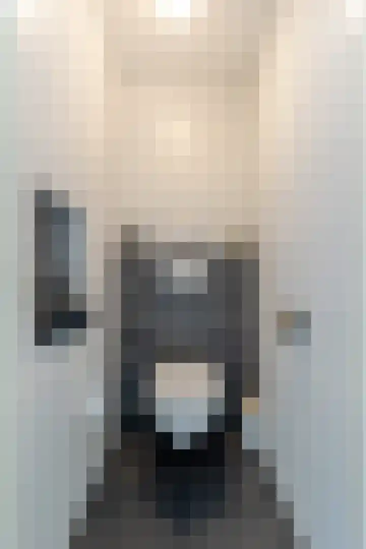 Singel 1 A Noordeloos thumbnail 8
