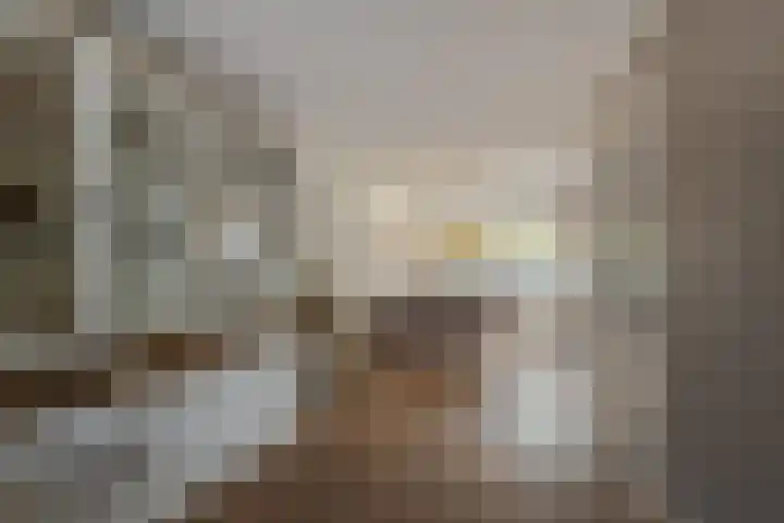 Singel 1 A Noordeloos thumbnail 9