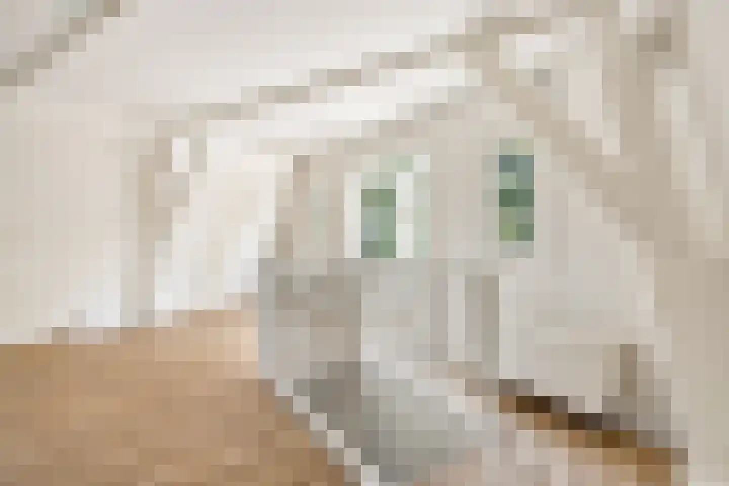 Singel 1 a Weesp thumbnail 16