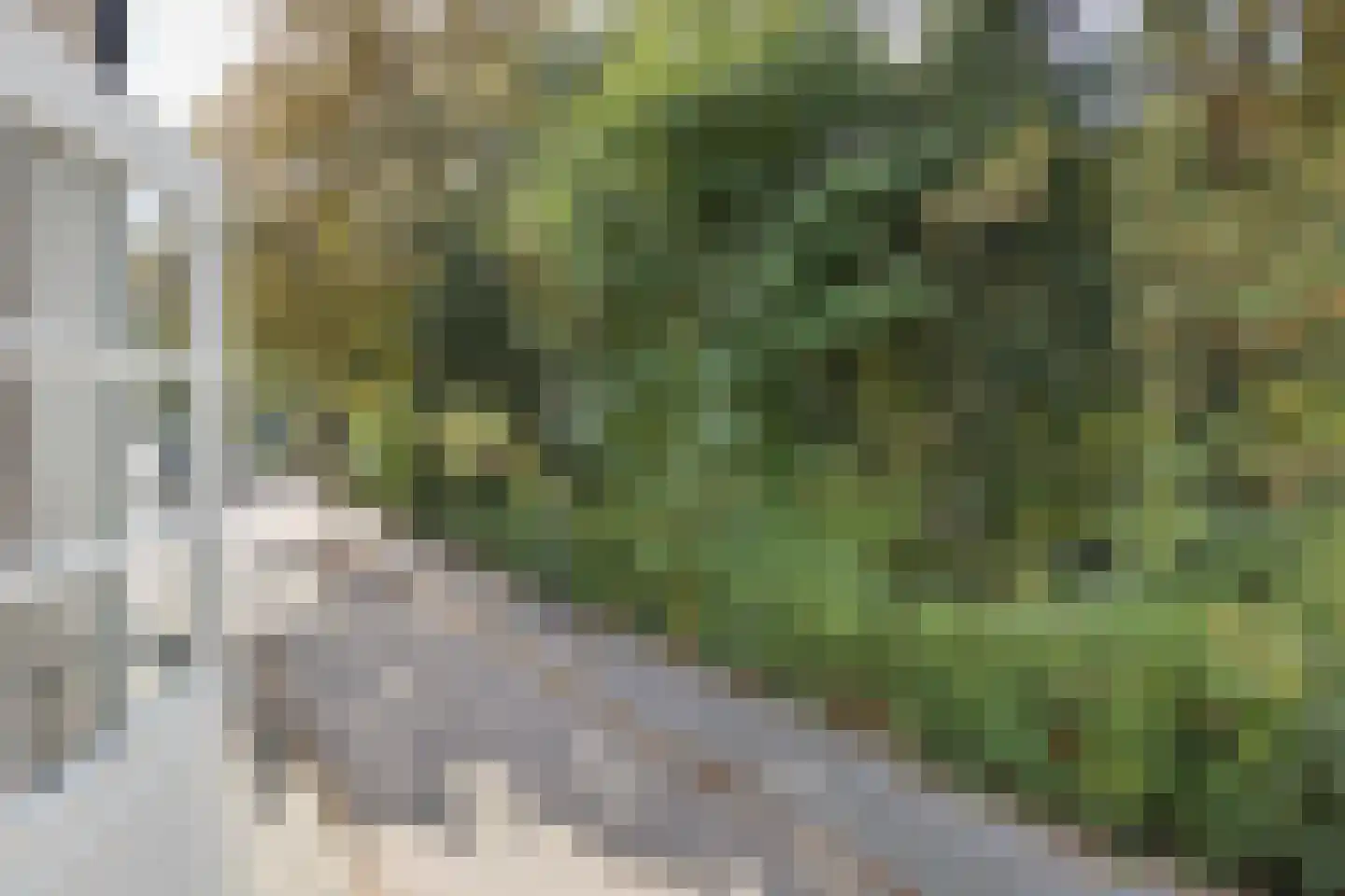 Singel 1 a Weesp thumbnail 7