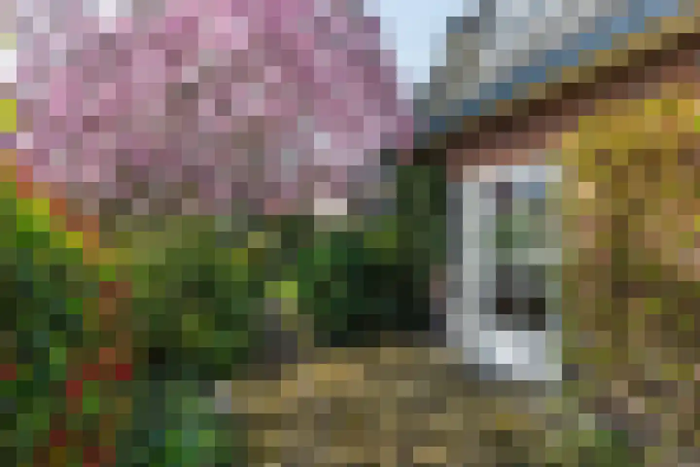 Singel 1 Blaricum thumbnail 15