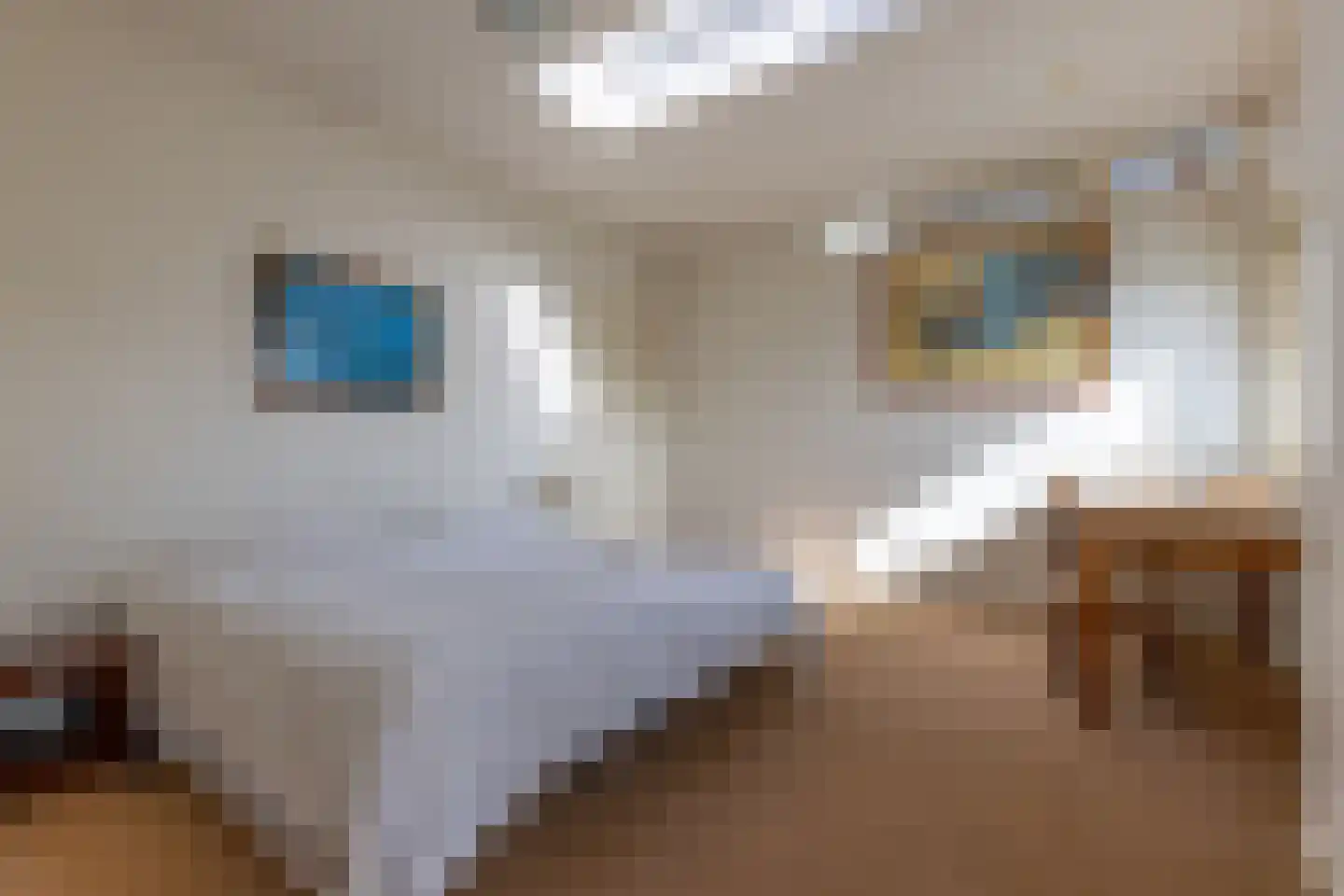 Singel 1 Blaricum thumbnail 25