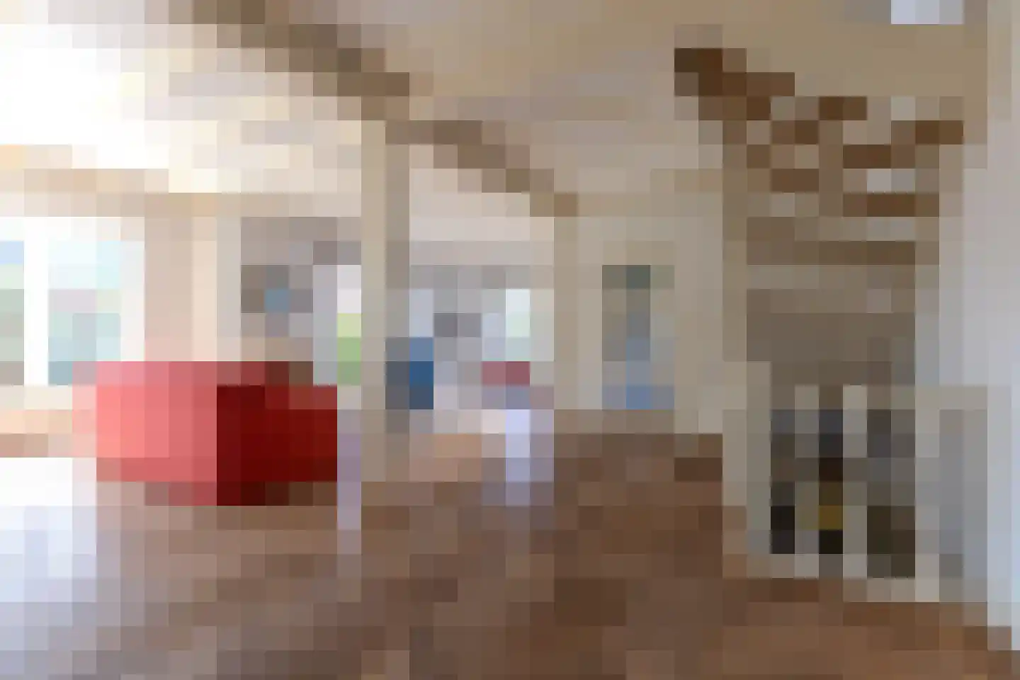 Singel 1 Blaricum thumbnail 9