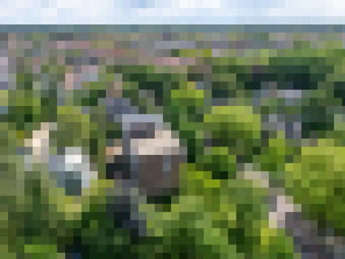 Singel 1 Bussum thumbnail 41