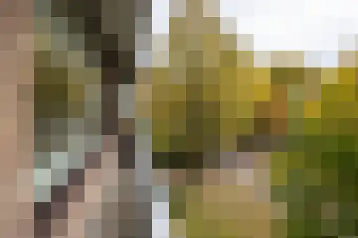 Singel 1 G Bussum thumbnail 23