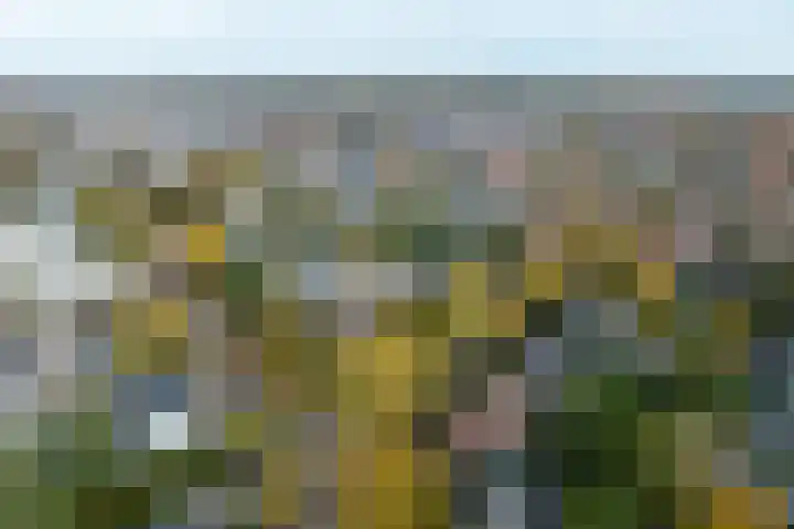Singel 1 G Bussum thumbnail 24