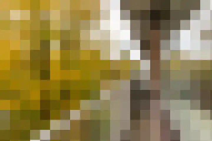 Singel 1 G Bussum thumbnail 25