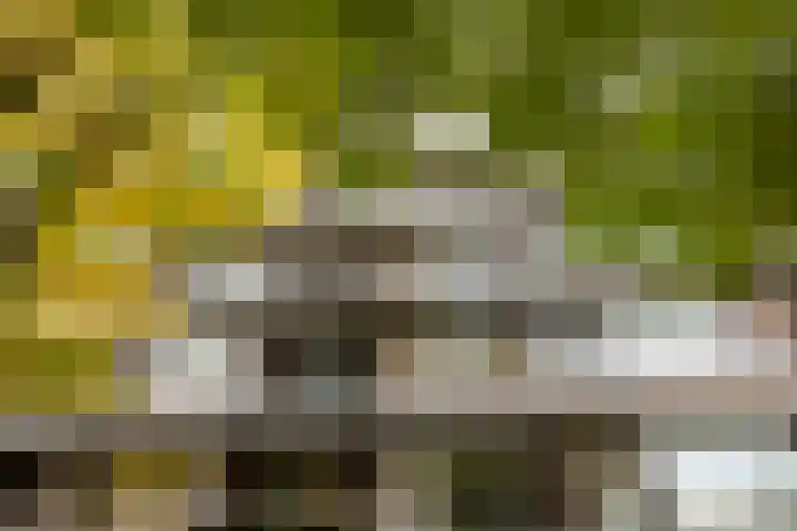 Singel 1 G Bussum thumbnail 26