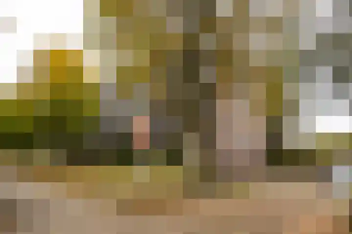 Singel 1 G Bussum thumbnail 27