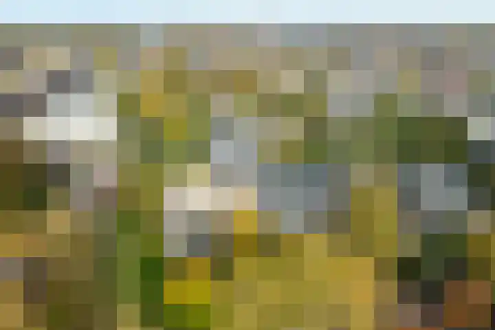 Singel 1 G Bussum thumbnail 4