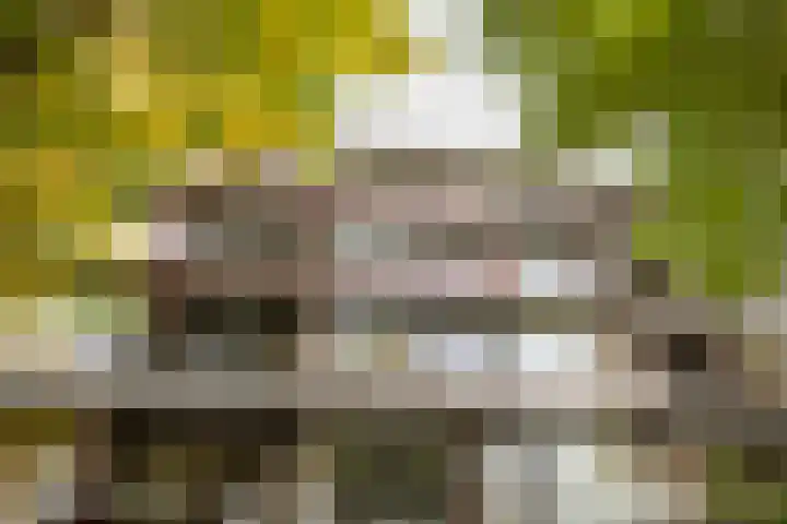 Singel 1 G Bussum thumbnail 5