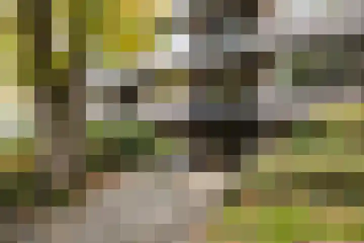 Singel 1 G Bussum thumbnail 6