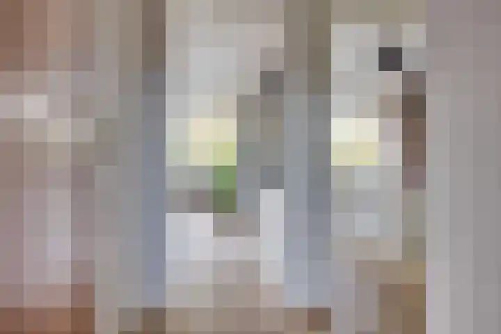 Singel 1 G Bussum thumbnail 8