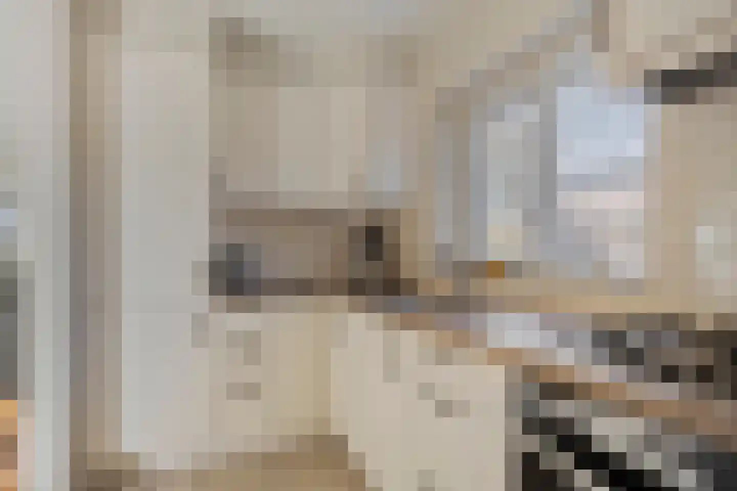 Singel 1 Oldeberkoop thumbnail 10