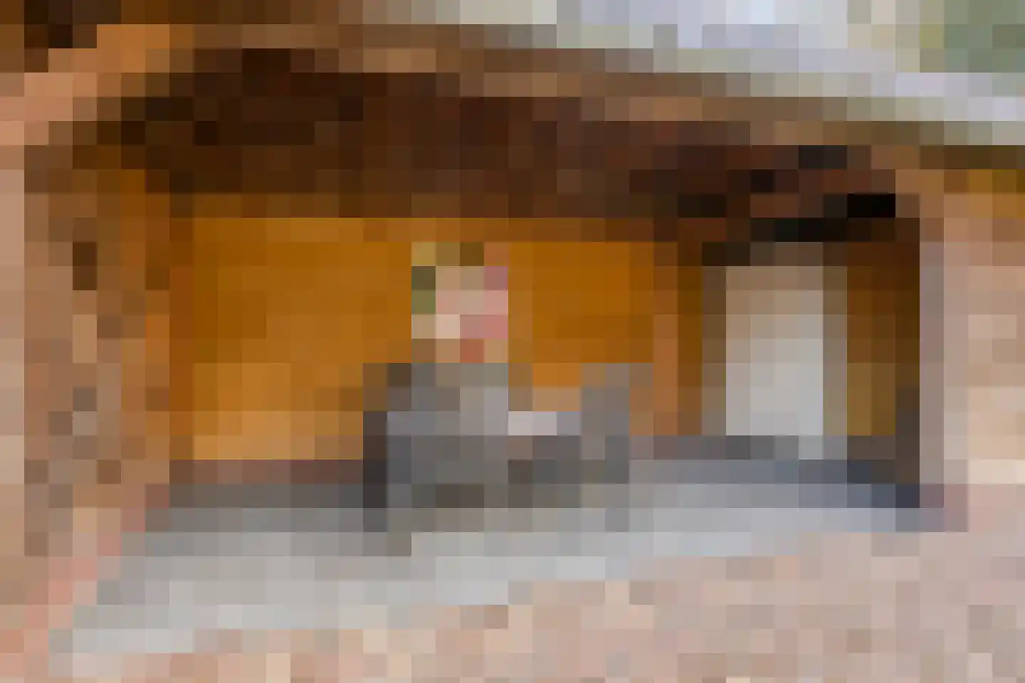 Singel 1 Oldeberkoop thumbnail 25