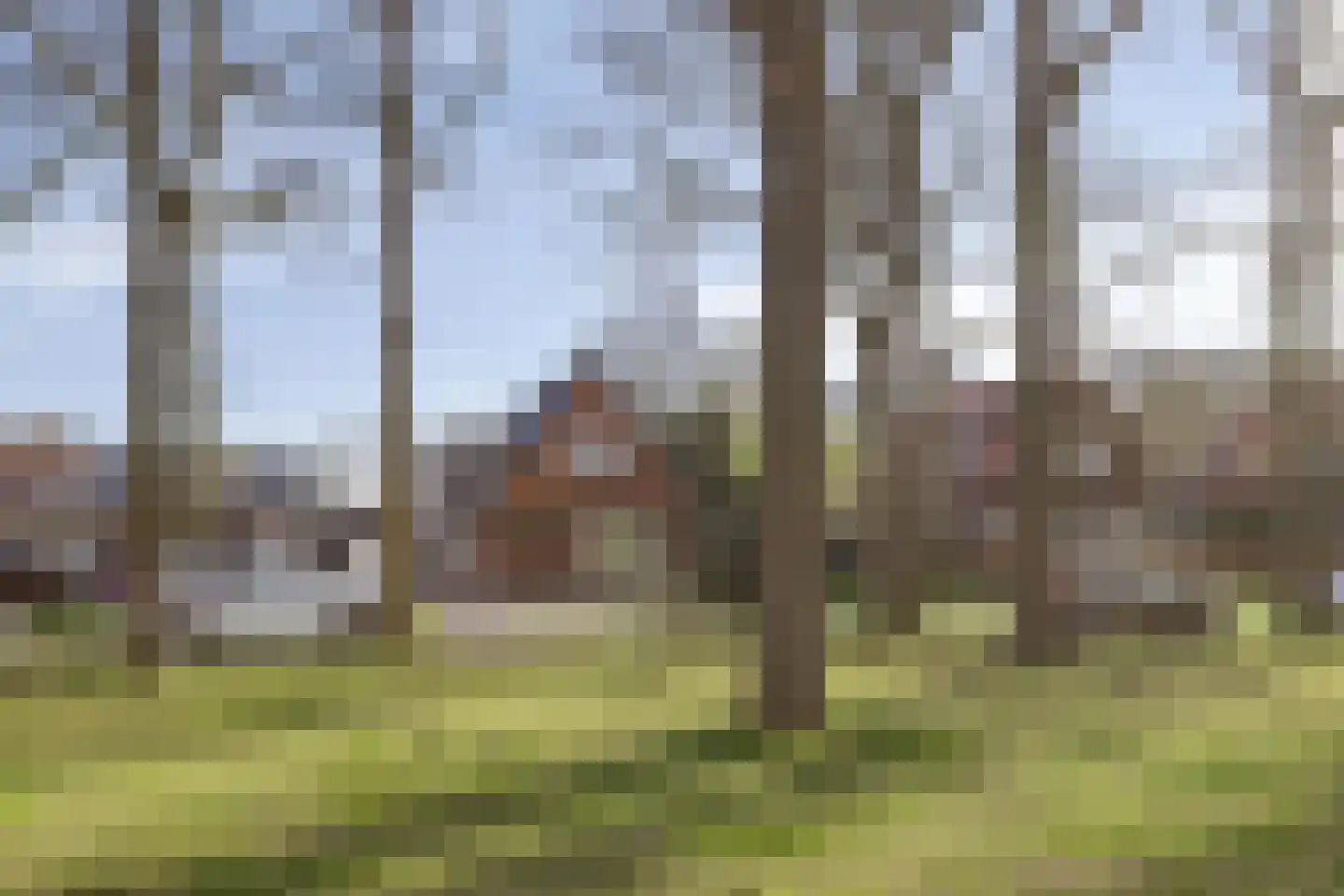 Singel 1 Oldeberkoop thumbnail 28