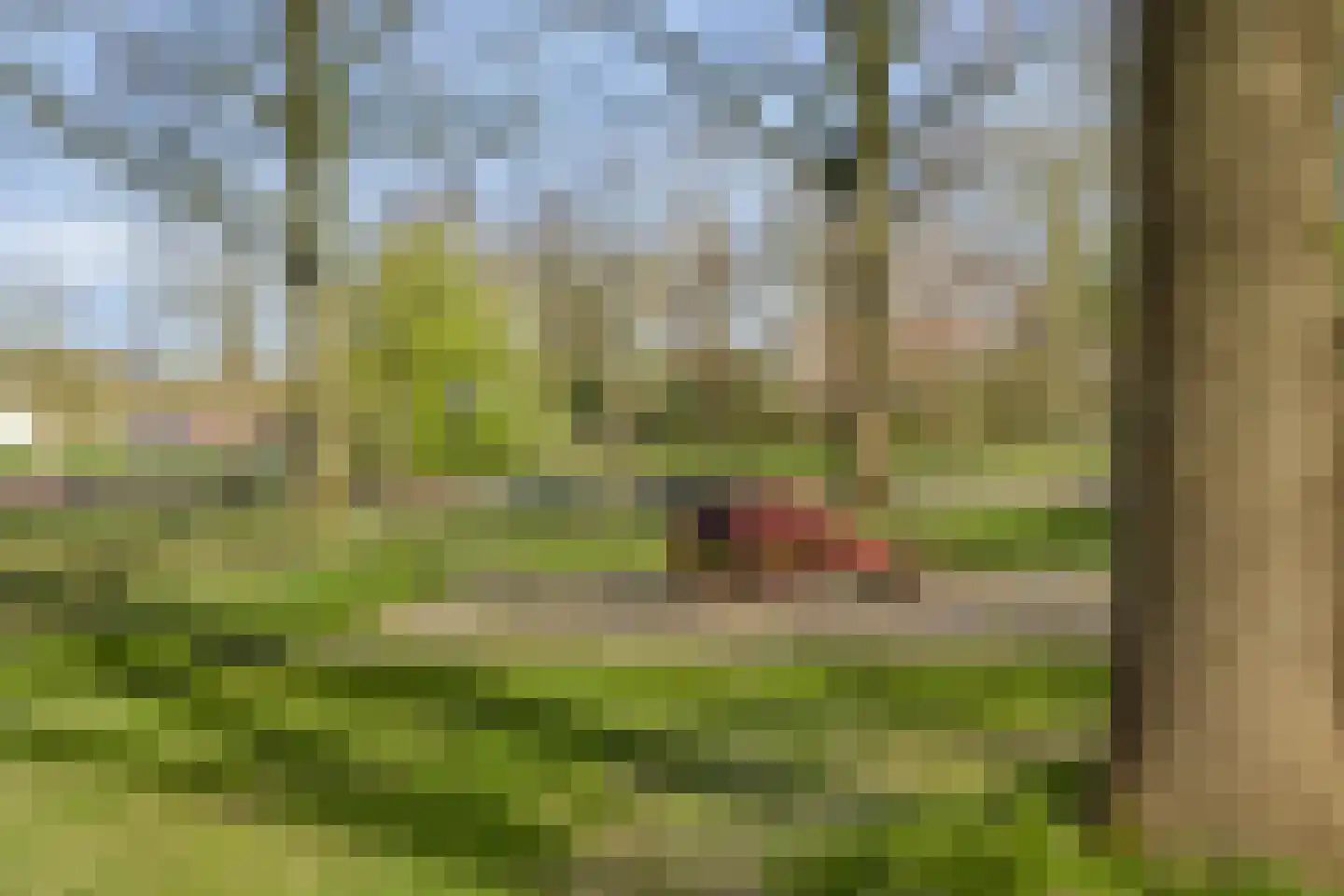 Singel 1 Oldeberkoop thumbnail 30