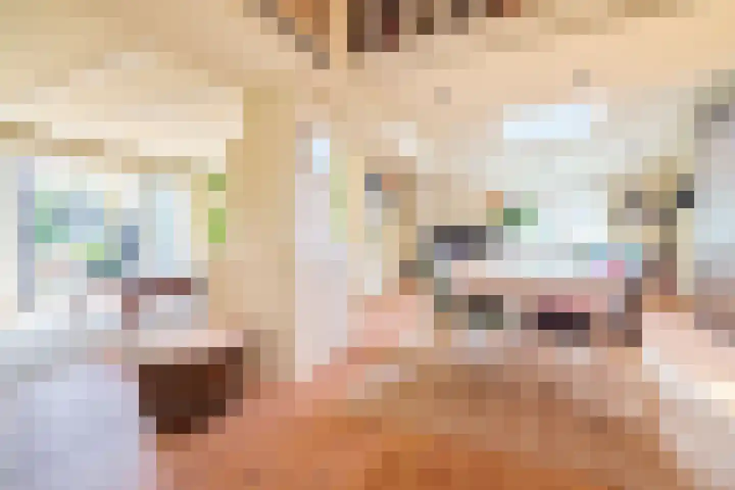 Singel 10 Blaricum thumbnail 11
