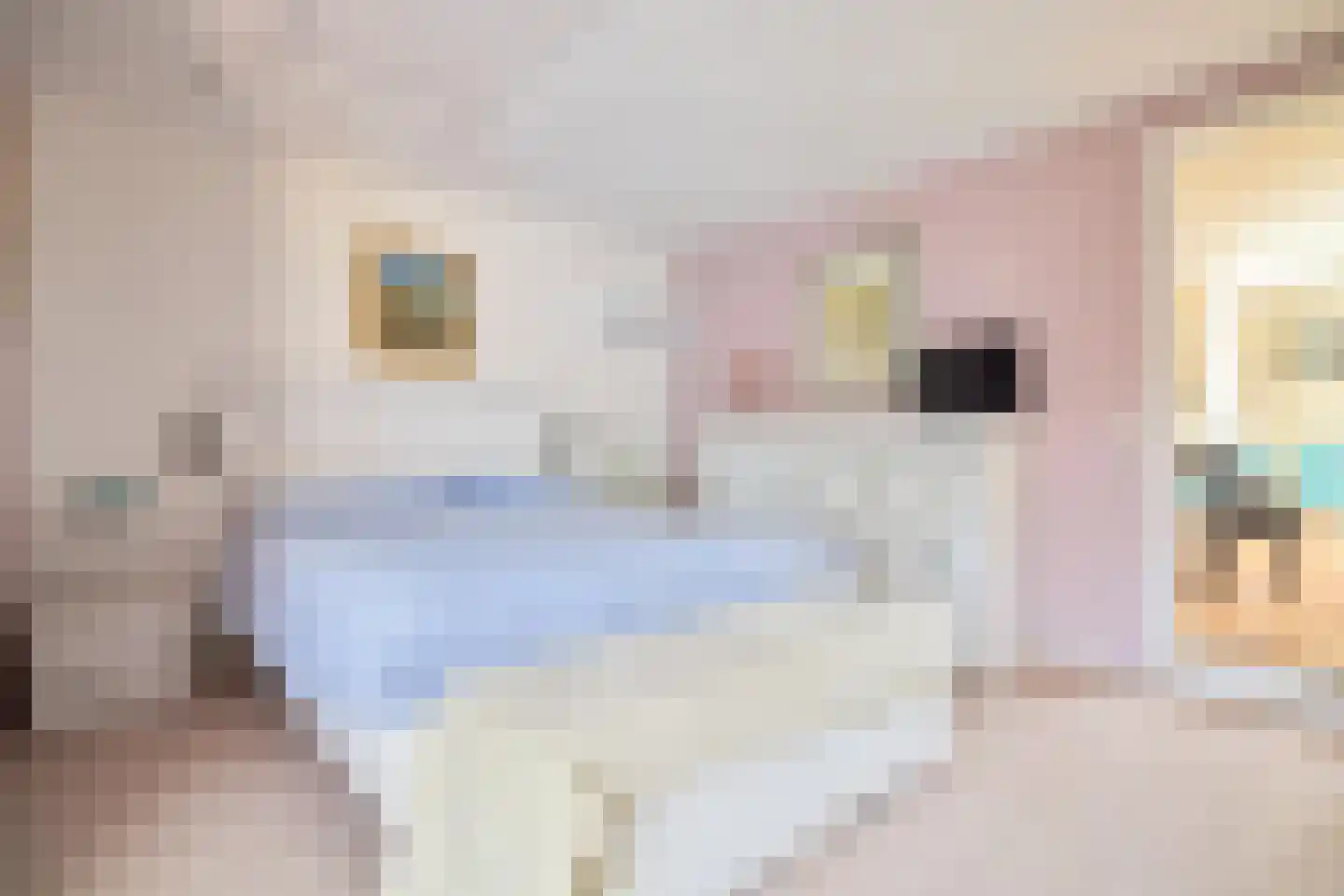 Singel 10 Blaricum thumbnail 15