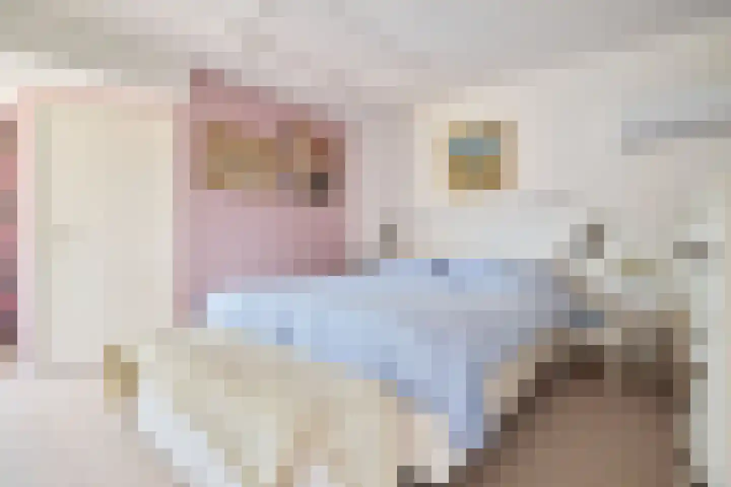 Singel 10 Blaricum thumbnail 16