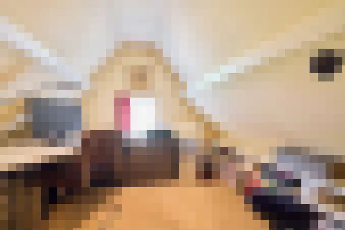 Singel 10 Blaricum thumbnail 21