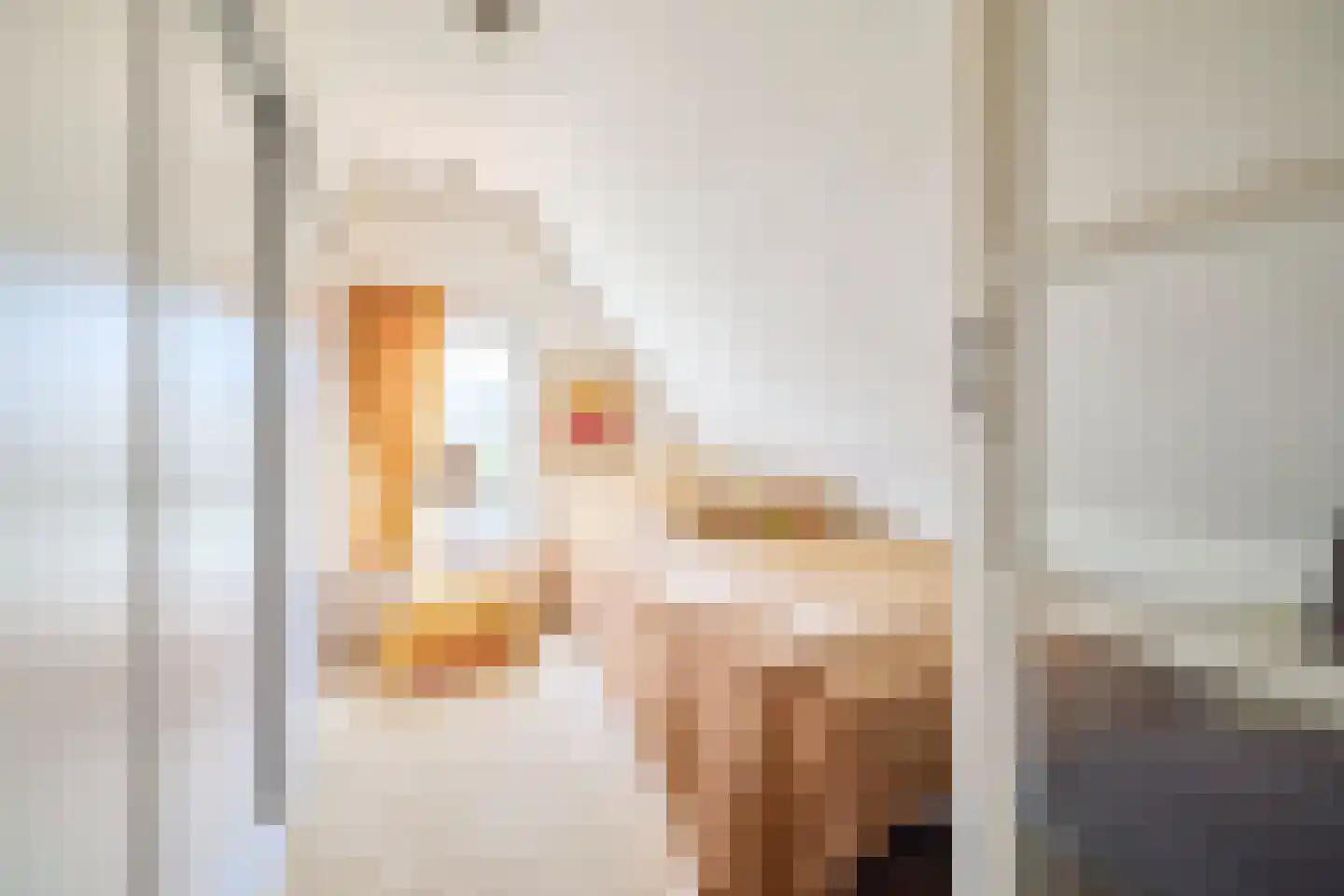Singel 10 Blaricum thumbnail 22
