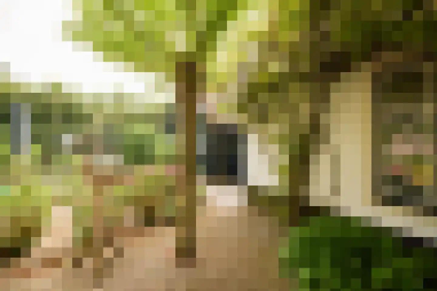 Singel 10 Blaricum thumbnail 24