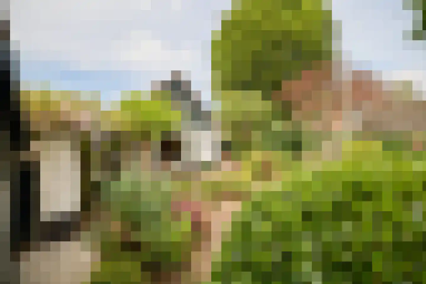 Singel 10 Blaricum thumbnail 25