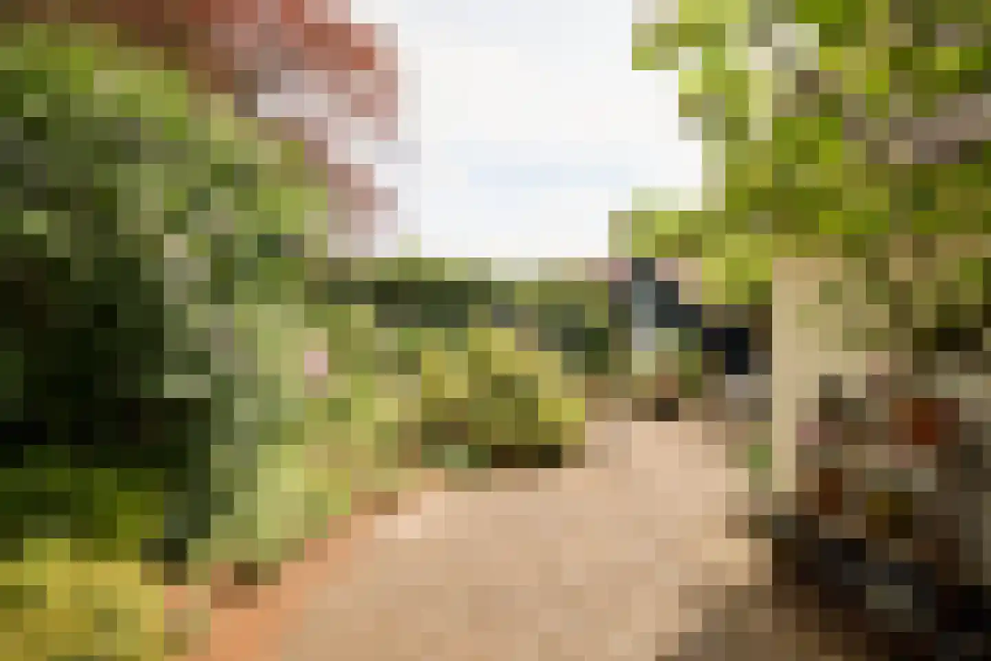 Singel 10 Blaricum thumbnail 26
