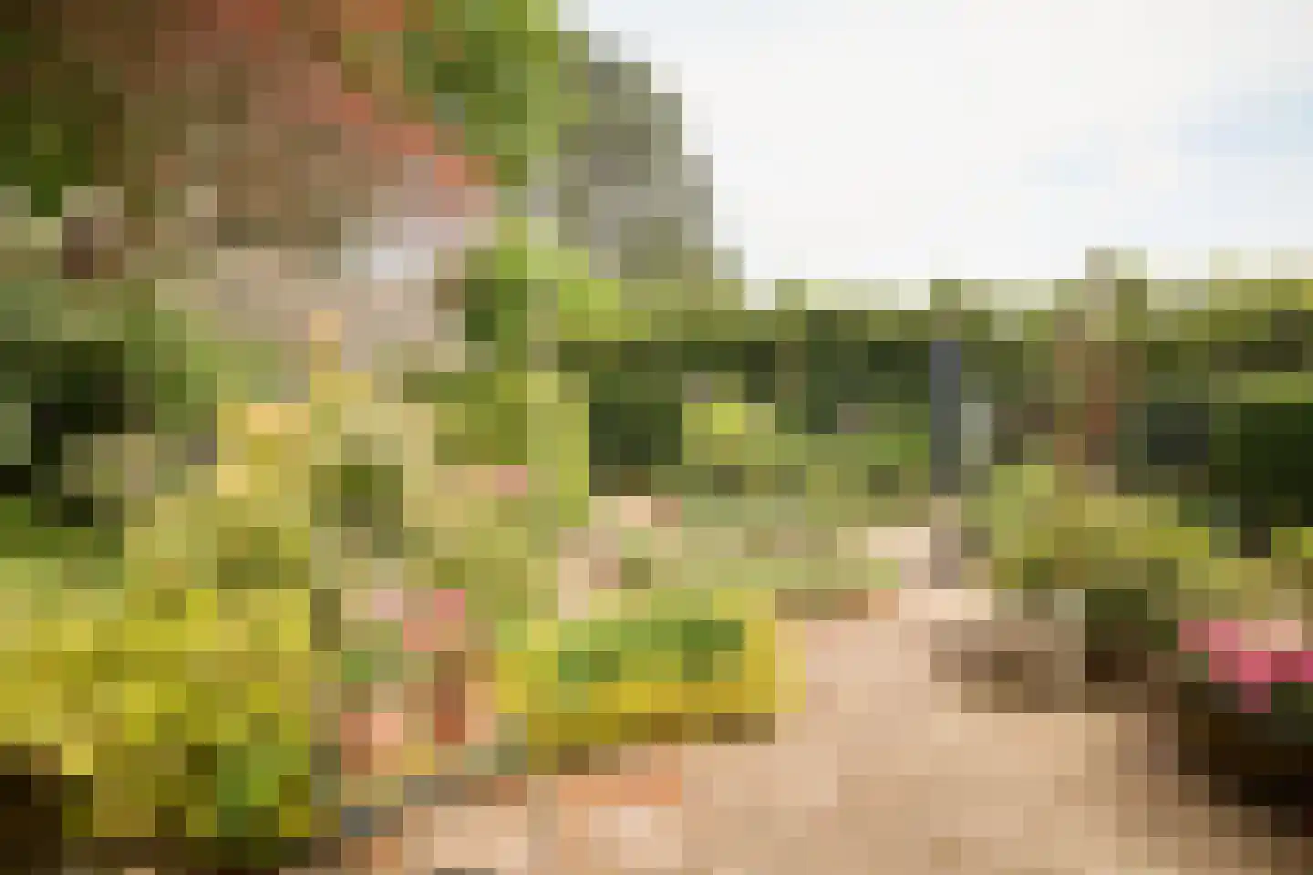 Singel 10 Blaricum thumbnail 27
